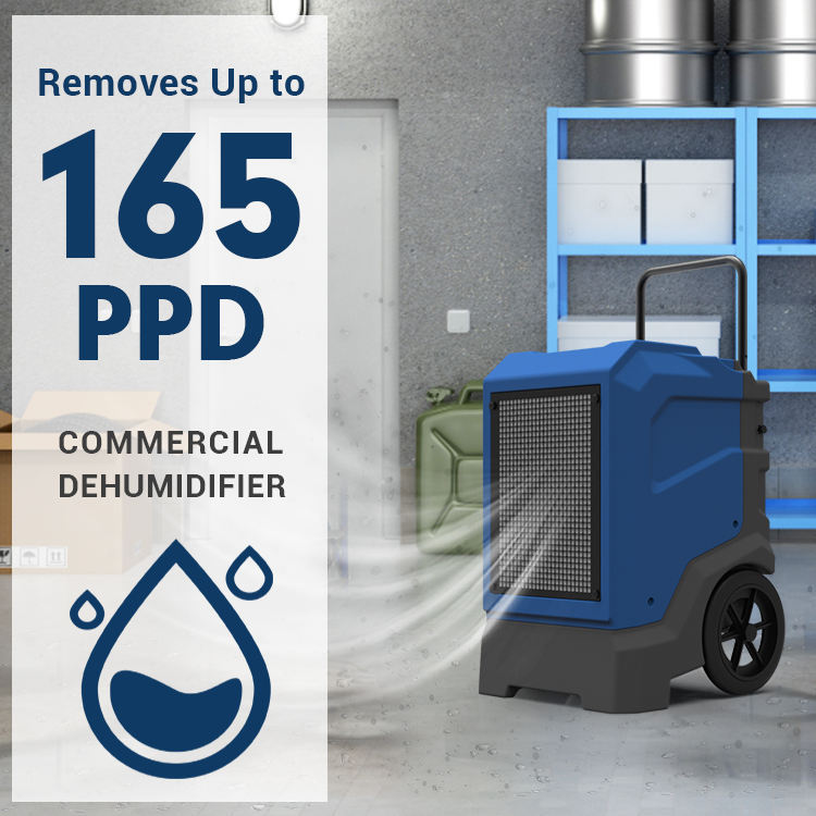 165pint-dehumidifier